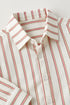 Biscotti Stripe Shirt