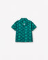 The Tropical Fern